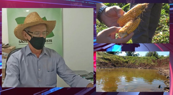Com propriedades sem água campo sofre com redução na safra e produção de leite, informa secretário