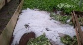 Chuva de granizo atinge propriedade em Beltrão