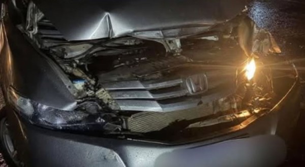 Temporal derruba árvore e provoca colisão entre veículos na PR-182