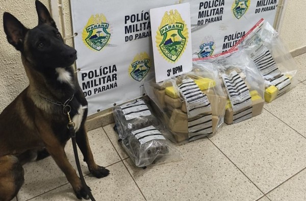Polícia Militar apreende mais de 30 quilos de maconha