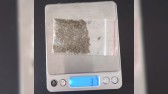 Suspeito de furtos em série é preso por posse de drogas pela PM