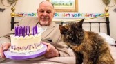 Gata de 31 anos pode se tornar a mais velha do mundo após rotina de cuidados especiais