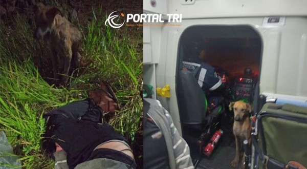 Cão acompanha tutor durante atendimento de socorro