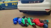 Prefeito de Boa Vista da Aparecida é flagrado com galos de rinha em carro da prefeitura