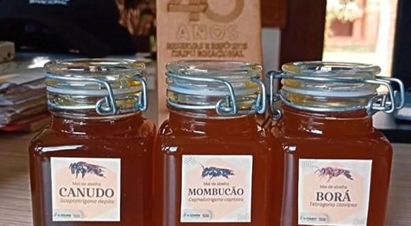 Itaipu conquista 1º e 2º lugar em concurso de mel de abelhas nativas
