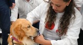 Projeto Patas que Acolhem começa a funcionar