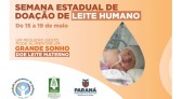 Na semana estadual de doação de leite humano, Estado busca ampliar número de doadoras