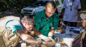 UFFS - Campus Realeza desenvolve projeto para atendimento de animais silvestres da região