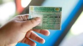 Pesquisa aponta 55 mil habilitados no município e alerta sobre quase 5 mil com CNHs a regularizar