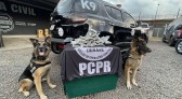 Com apoio de cães farejadores, droga é apreendida em ônibus