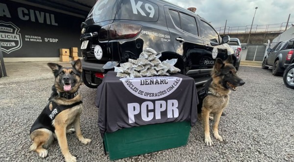 Com apoio de cães farejadores, droga é apreendida em ônibus