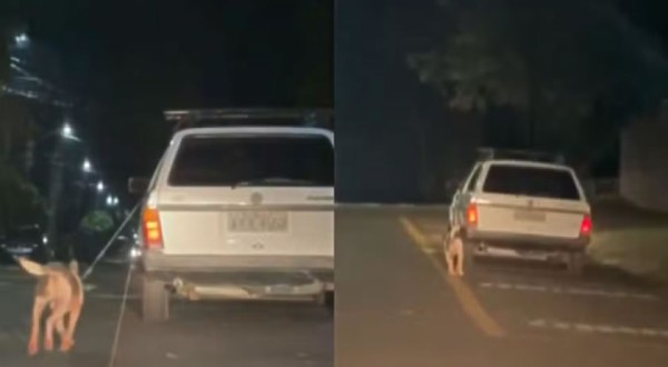 Motorista é preso após amarrar cachorro do lado de fora de carro e arrastá-lo por diversas ruas, no PR