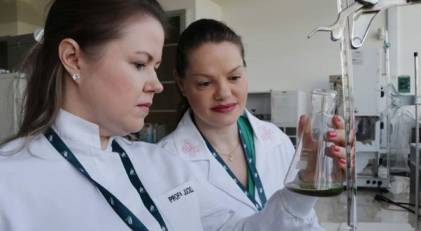 Pesquisadoras da UFFS - Campus Realeza desenvolvem alimentos para pacientes com doença renal crônica