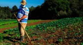 Reativado, programa de crédito fundiário viabiliza compra de terras no Paraná