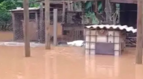 Francisco Beltrão registra 199 mm de chuva em quatro dias e supera volume de todo o ano de 2025