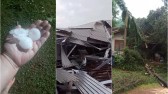 Temporal causa destelhamentos e quedas de árvores na região