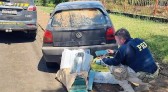 Polícia Rodoviária Federal apreende quase 100kg de maconha