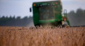 Paraná deve produzir 21,12 milhões de toneladas de grãos na safra de verão 2023/2024