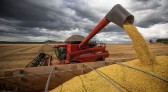 Safra de grãos em 2022 poderá chegar a 271,9 toneladas, diz IBGE