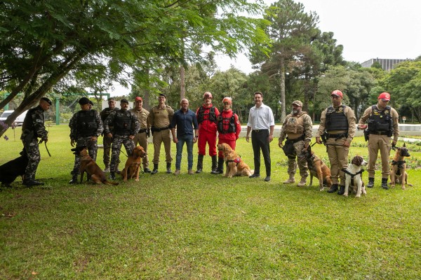Governo vai comprar 93 cães para reforçar atividades policiais e de salvamento
