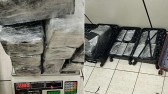 PM apreende quase 48 kg de maconha e prende quatro pessoas em Cascavel durante abordagem