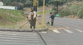 Trevos, ruas e sinalização: Prefeitura intensifica cuidado com a cidade