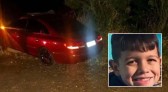 Menino de 10 anos morre após carro atingir cavalos na PR-456, no Paraná