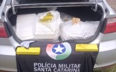 Casal é preso com quase 200 quilos de maconha em motel