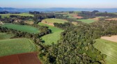 Com protagonismo ambiental, Paraná é o terceiro estado mais competitivo do Brasil