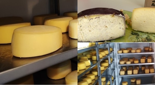 Expobel terá concurso de queijos coloniais