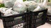 Famílias de Beltrão são beneficiadas com alimentos da agricultura familiar