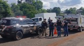 Sete pessoas são detidas após homem ser decapitado e esquartejado em Marmeleiro, no Paraná