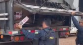 Polícia Rodoviária Federal apreende carga de cigarros contrabandeados na BR-163 em Toledo