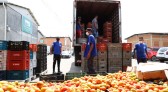 Banco de Alimentos Comida Boa distribuiu quase 6 mil toneladas de hortigranjeiros em 2022