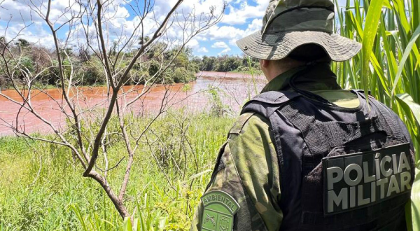 PMPR resgata 216 animais e interrompe desmatamento ilegal de 159 hectares em junho
