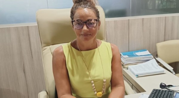 MEIs devem apresentar a declaração anual