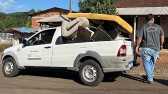 Administração Municipal realiza mutirão de combate à Dengue