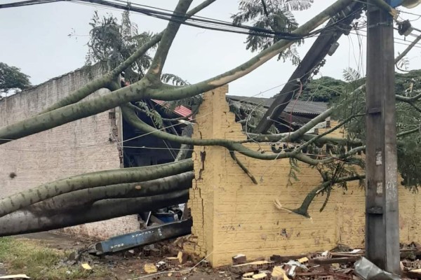 Temporais deixam mais de 1,2 mil casas destelhadas