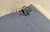 “Boca de lobo” no meio da rua provoca acidentes e causa transtornos a usuários da via