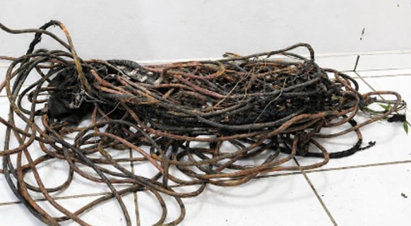 PM flagra dois homens queimando fios elétricos para retirar cobre
