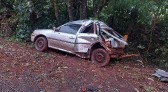 Veículo fica destruído após saída de pista seguida de choque em árvore