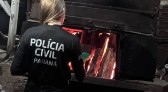 Polícia Civil incinera quase 14 quilos de drogas apreendidas