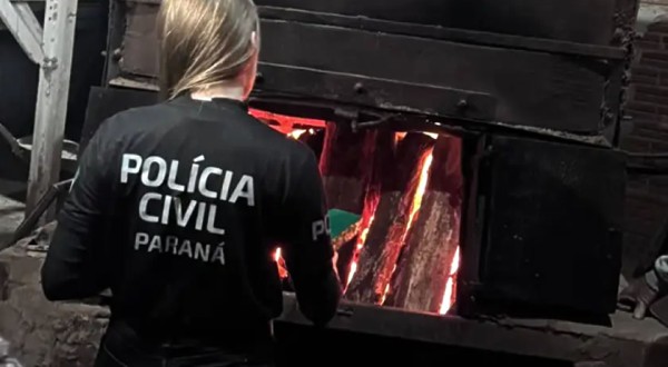 Polícia Civil incinera quase 14 quilos de drogas apreendidas