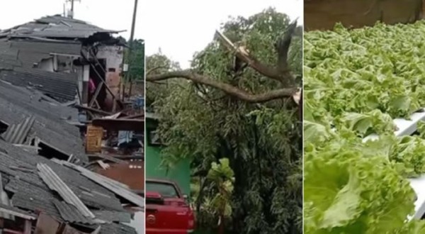 Vendaval causa estragos no município