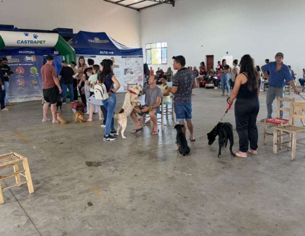Castrapet Paraná tem primeiro dia marcado por grande adesão