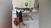 Homem detido por receptação de geladeira e tráfico de drogas