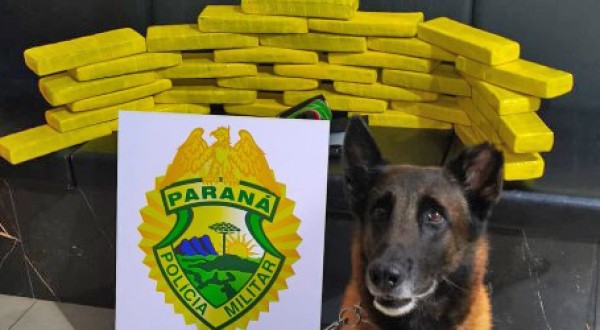 Mulher é presa com mais de 25 quilos de maconha em ônibus interestadual