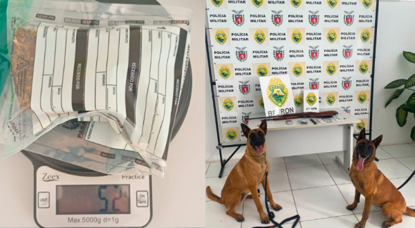 Ação integrada cumpre mandados e apreende armas e drogas na cidade