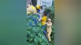 Homem que mora embaixo de ponte sofre queda e é socorrido pelo Corpo de Bombeiros