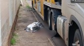 Motorista de caminhão-cegonha morre após acidente durante descarregamento de veículos em Toledo